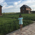 Гуля Черных